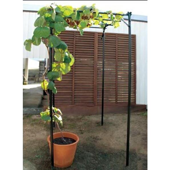 くだもの棚セット KT-S 幅90cm×奥行120cm 第一ビニール 藤棚 バーゴラ ぶどう棚 第B DZ |  | 01