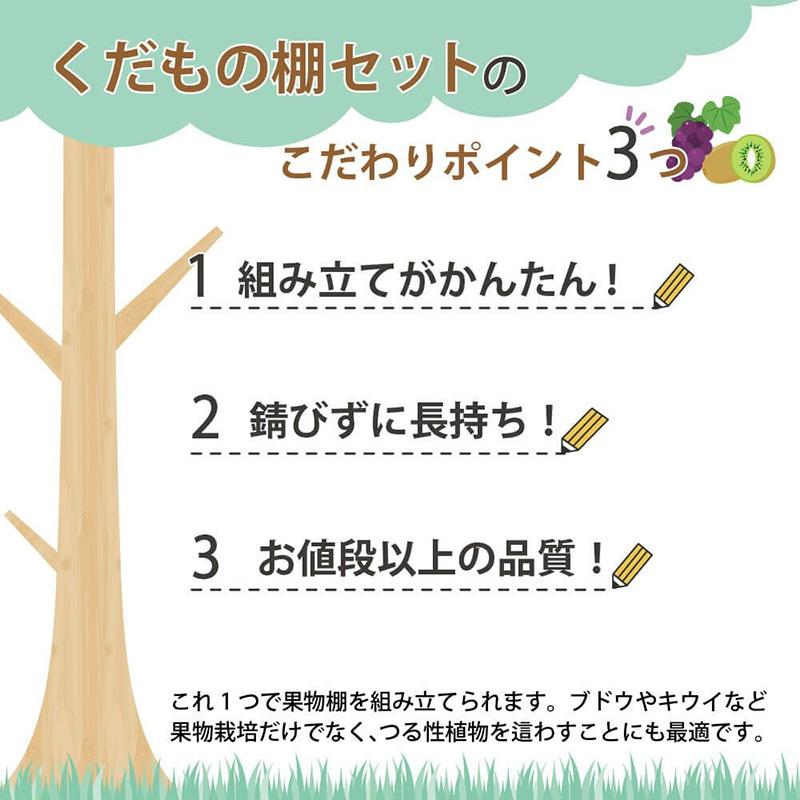 くだもの棚セット KT-M 幅120cm×奥行180cm 第一ビニール 藤棚 バーゴラ ぶどう棚 第B DZ |  | 02