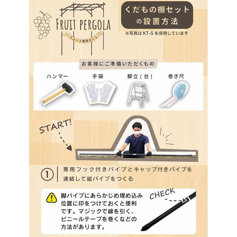 くだもの棚セット KT-M 幅120cm×奥行180cm 第一ビニール 藤棚 バーゴラ ぶどう棚 第B DZ |  | 06