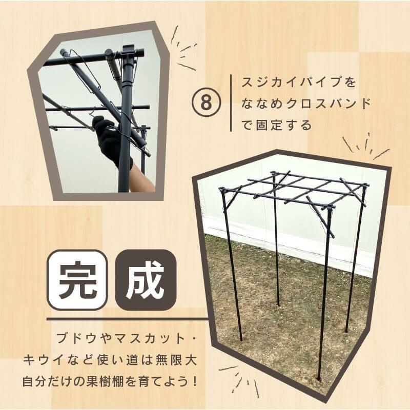 くだもの棚セット KT-M 幅120cm×奥行180cm 第一ビニール 藤棚 バーゴラ ぶどう棚 第B DZ |  | 09