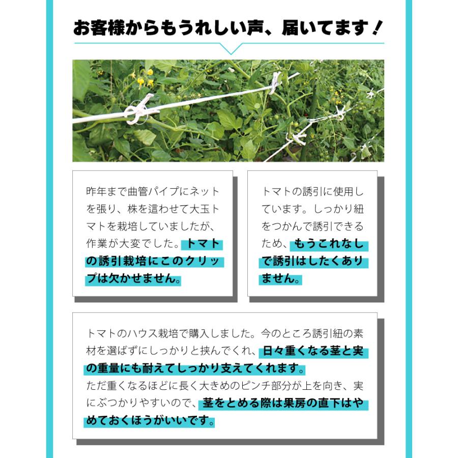 2000個 (200個×10袋) くきたっちアルファF 太紐用 麻紐用 ライトブルー 水色 AF-BL200 誘引 クリップ 誘引資材 誘引器具 トマト 栽培 シーム タS 代引不可 |  | 01