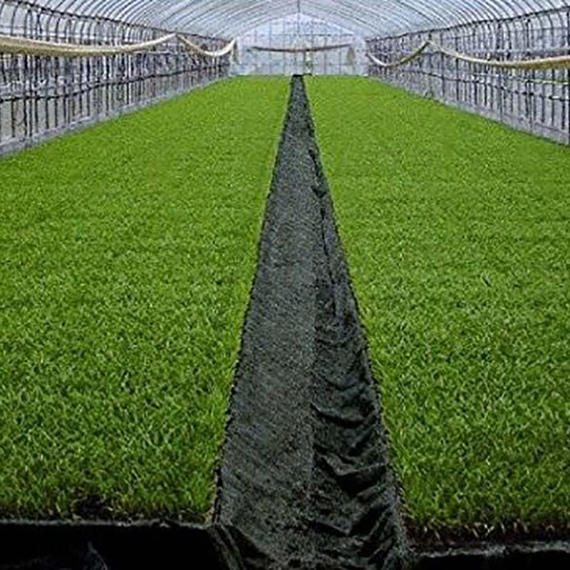 TKプールシート プール育苗専用 遮水シート 黒 厚み0.15mm×幅300cm×長さ55m 24.8kg プールシート 育苗 水稲 苗 東京インキ タS 代引不可 個人宅配送不可 | 