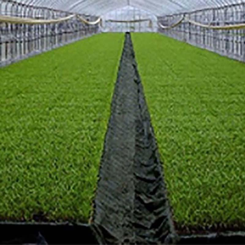 TKプールシート プール育苗専用 遮水シート 黒 厚み0.15mm×幅330cm×長さ55m 27.2kg プールシート 育苗 水稲 苗 東京インキ タS 代引不可 個人宅配送不可 | 