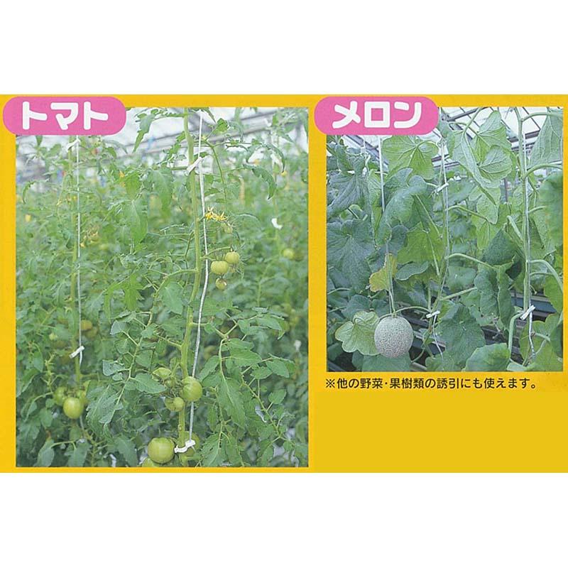 ゆーいんキャッチ ゆういんキャッチ 200個 YW-200 シーム トマト ナス メロン 誘引 タS DZ |  | 03