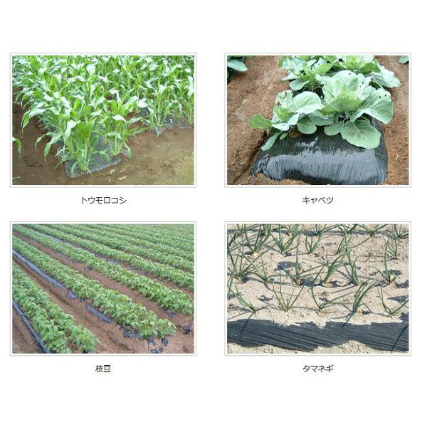 2本 生分解マルチ 黒 サンバイオXB 幅 95cm×200m 無孔 マルチ フィルム シート 畑 農業用品 農業資材 省力化 サンプラック工業 カ施 代引不可 |  | 01