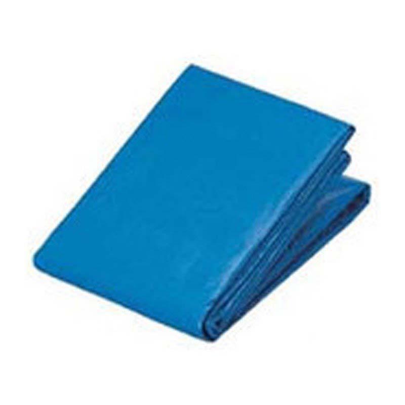 NO.971 【10×10】ブルーシート 2枚組 2枚 ブルーシート #2200 Zシート 10×10 m ブルー 萩原工業製 国産日本