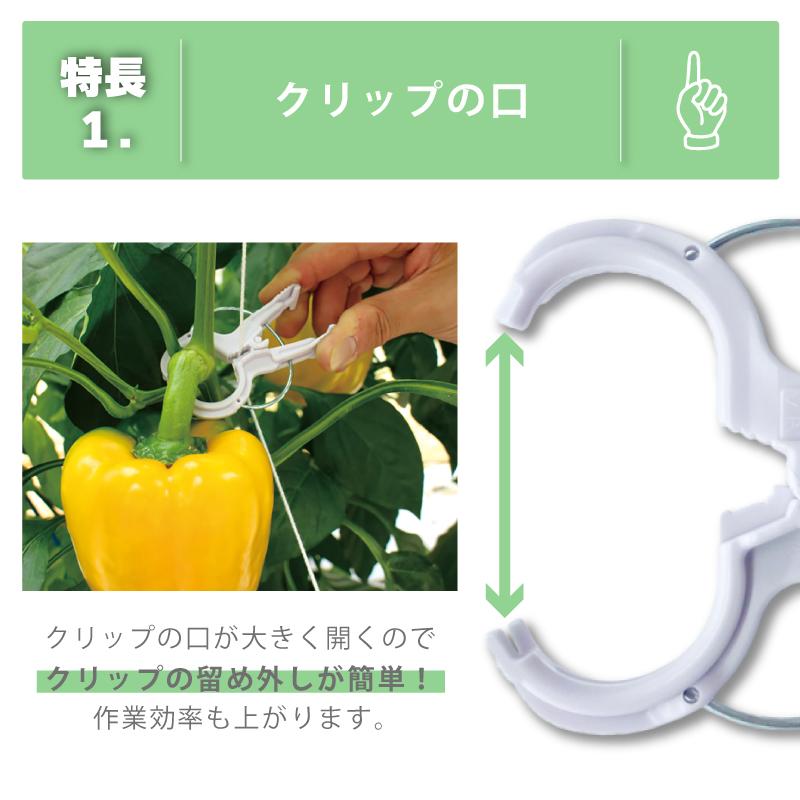 220個 くきたっちアルファ M パープル 薄紫 AM-P220 細紐用 紐誘引クリップ 誘引クリップ 誘引資材 誘引 クリップ トマト ナス キュウリ 栽培 シーム タS DZ |  | 03