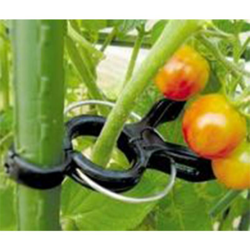 くき止めクリップ 10コ入り 16-20mm用 第一ビニール 金TD | 