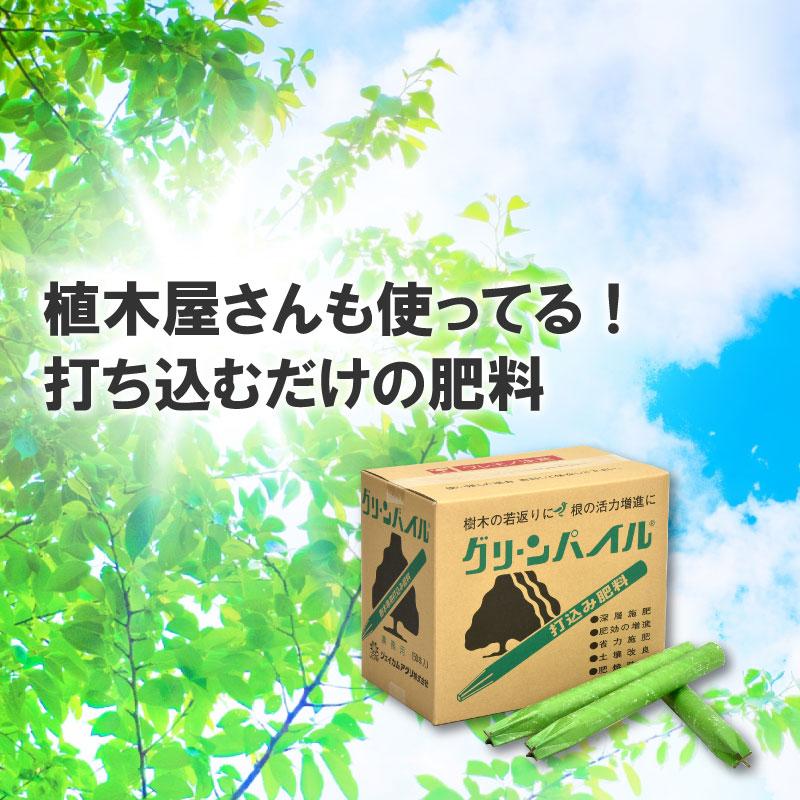 グリーンパイル ラージ 50本入 業務用 打込み肥料 肥料 栄養 養分 活力剤 樹木 庭木 植木 果樹 園芸 ガーデニング 人気 おすすめ ジェイカムアグリ タS DZ |  | 01