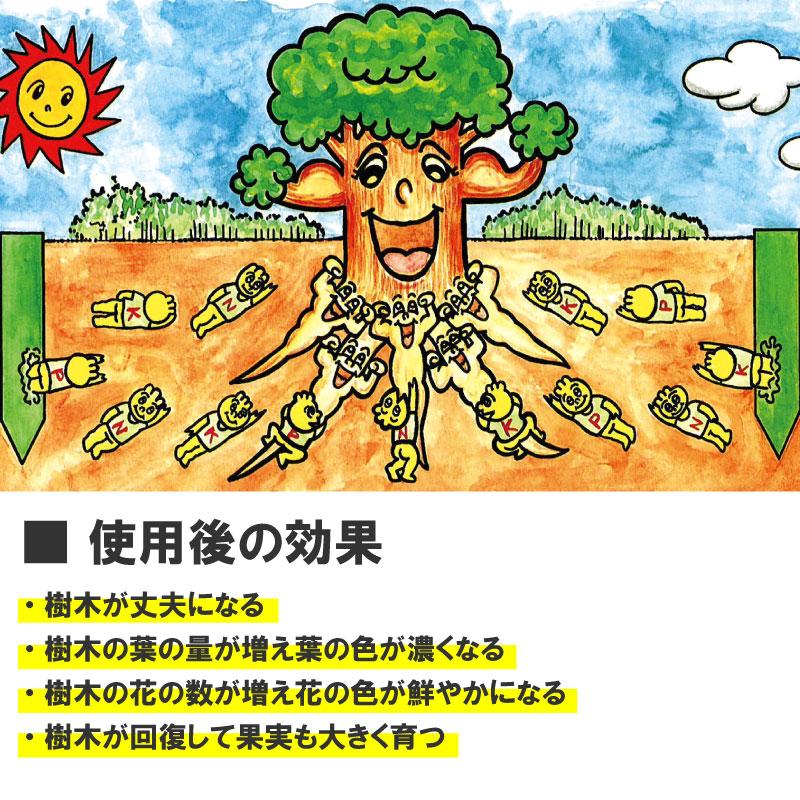 グリーンパイル ラージ 50本入 業務用 打込み肥料 肥料 栄養 養分 活力剤 樹木 庭木 植木 果樹 園芸 ガーデニング 人気 おすすめ ジェイカムアグリ タS DZ |  | 05