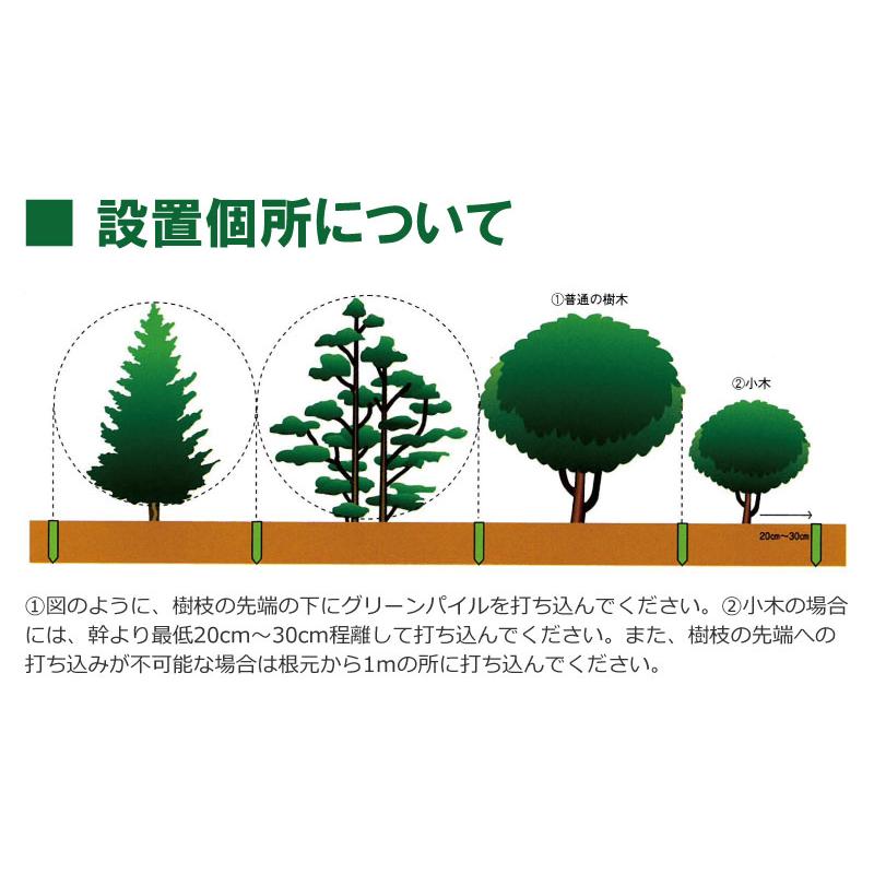 グリーンパイル スモール 70本入 業務用 打込み肥料 肥料 栄養 養分 活力剤 樹木 庭木 植木 果樹 園芸 ガーデニング 人気 おすすめ ジェイカムアグリ タS DZ |  | 11