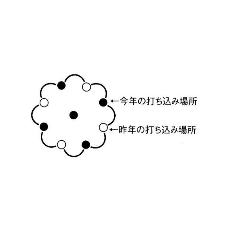 グリーンパイル スモール 70本入 業務用 打込み肥料 肥料 栄養 養分 活力剤 樹木 庭木 植木 果樹 園芸 ガーデニング 人気 おすすめ ジェイカムアグリ タS DZ |  | 13