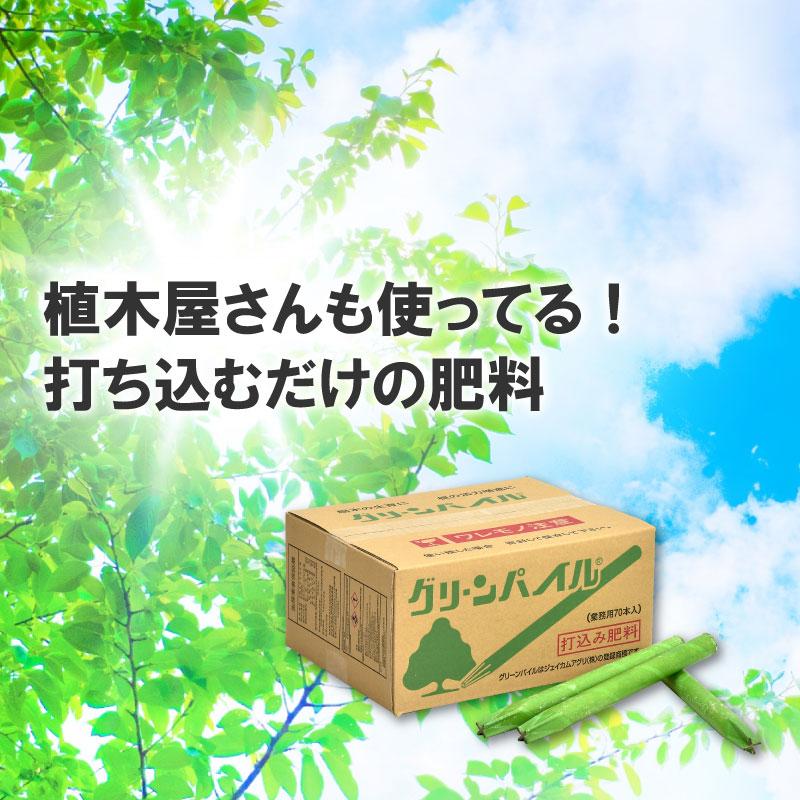 グリーンパイル スモール 70本入 業務用 打込み肥料 肥料 栄養 養分 活力剤 樹木 庭木 植木 果樹 園芸 ガーデニング 人気 おすすめ ジェイカムアグリ タS DZ |  | 01
