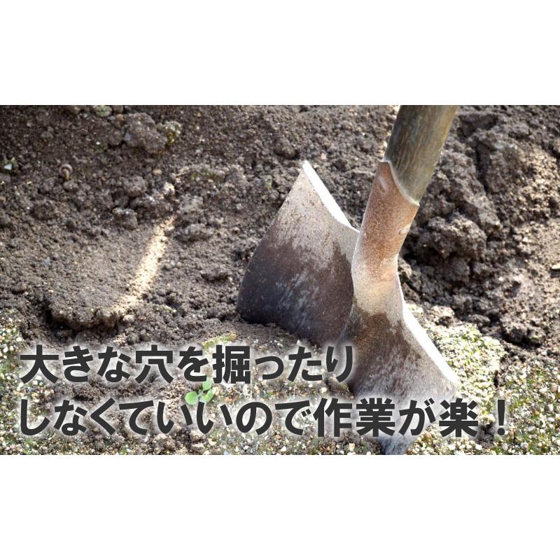グリーンパイル スモール 70本入 業務用 打込み肥料 肥料 栄養 養分 活力剤 樹木 庭木 植木 果樹 園芸 ガーデニング 人気 おすすめ ジェイカムアグリ タS DZ |  | 03