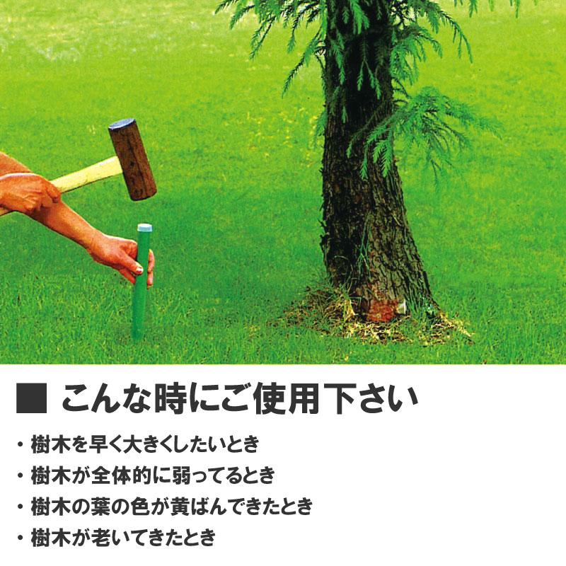 グリーンパイル スモール 70本入 業務用 打込み肥料 肥料 栄養 養分 活力剤 樹木 庭木 植木 果樹 園芸 ガーデニング 人気 おすすめ ジェイカムアグリ タS DZ |  | 04