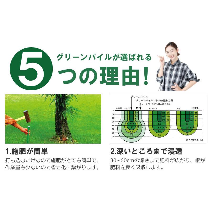 グリーンパイル スモール 70本入 業務用 打込み肥料 肥料 栄養 養分 活力剤 樹木 庭木 植木 果樹 園芸 ガーデニング 人気 おすすめ ジェイカムアグリ タS DZ |  | 06