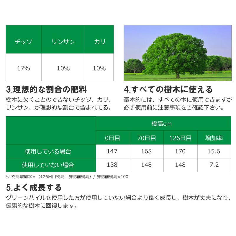 グリーンパイル スモール 70本入 業務用 打込み肥料 肥料 栄養 養分 活力剤 樹木 庭木 植木 果樹 園芸 ガーデニング 人気 おすすめ ジェイカムアグリ タS DZ |  | 07