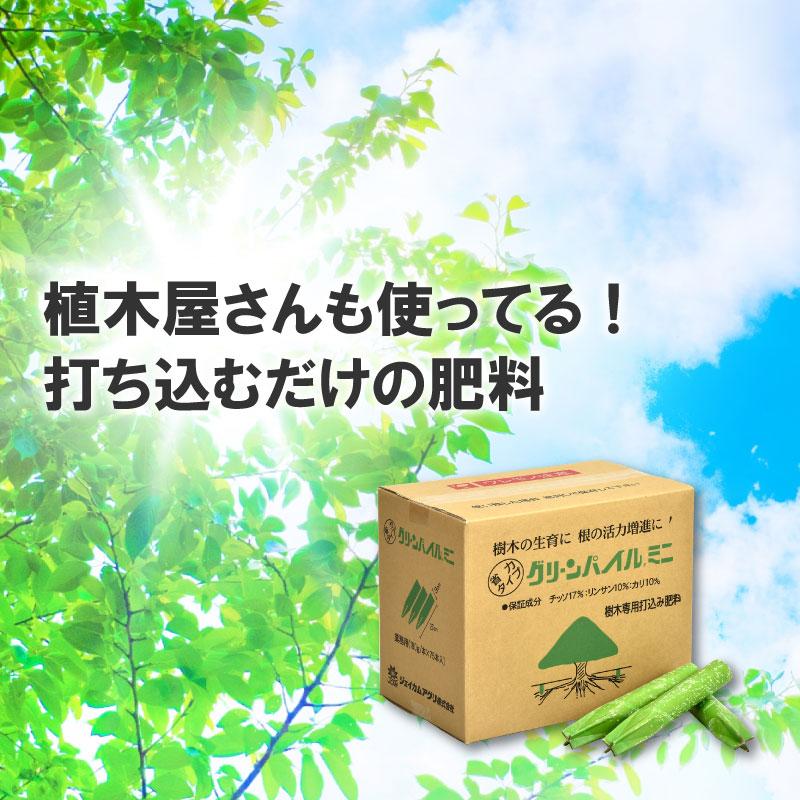 グリーンパイル ミニ 75本入 業務用 打込み肥料 肥料 栄養 養分 活力剤 樹木 庭木 植木 果樹 園芸 ガーデニング 人気 おすすめ ジェイカムアグリ タS DZ |  | 01