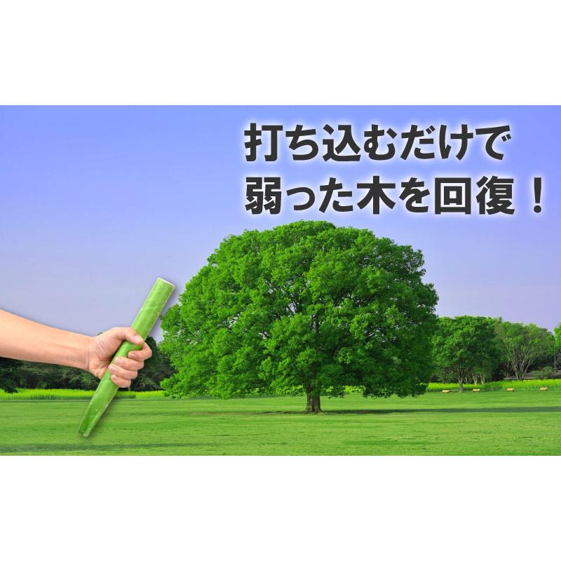 グリーンパイル ミニ 75本入 業務用 打込み肥料 肥料 栄養 養分 活力剤 樹木 庭木 植木 果樹 園芸 ガーデニング 人気 おすすめ ジェイカムアグリ タS DZ |  | 02