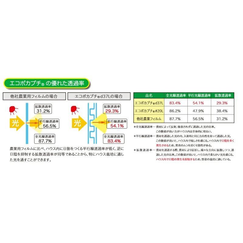 エコポカプチ d37L 幅2400mm×50m 2本入 ビニールハウス内張り保温シート 川上産業 受注生産品 カ施 個人宅配送不可 代引不可 |  | 03
