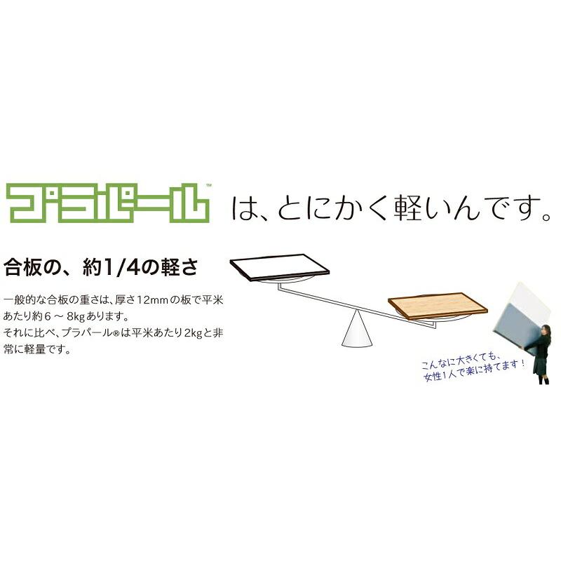 プラパール 黒 3層品 PGPP Z 厚さ9mm×幅1600mm×長さ2300mm 10枚組 川上産業 カ施 個人宅配送不可 代引不可 ...