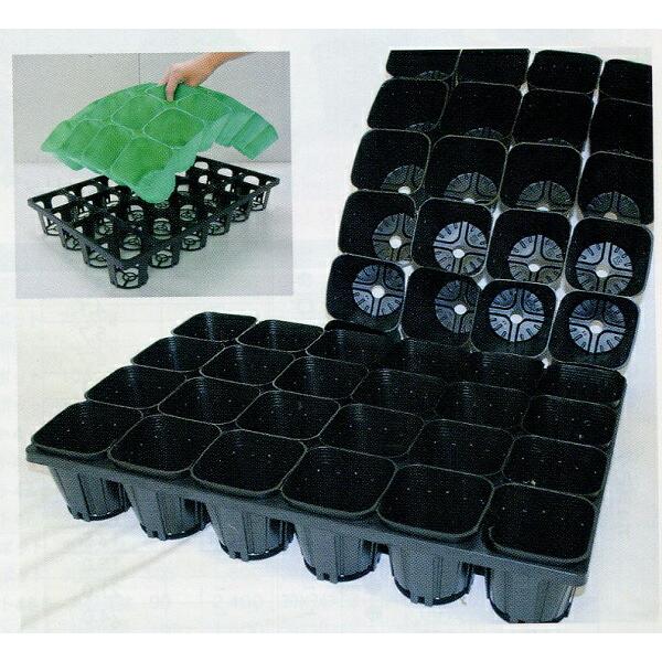 250枚 合体くん タキイ根巻防止連結ポリ鉢 10.5cm 黒 20鉢/1枚 タキイ