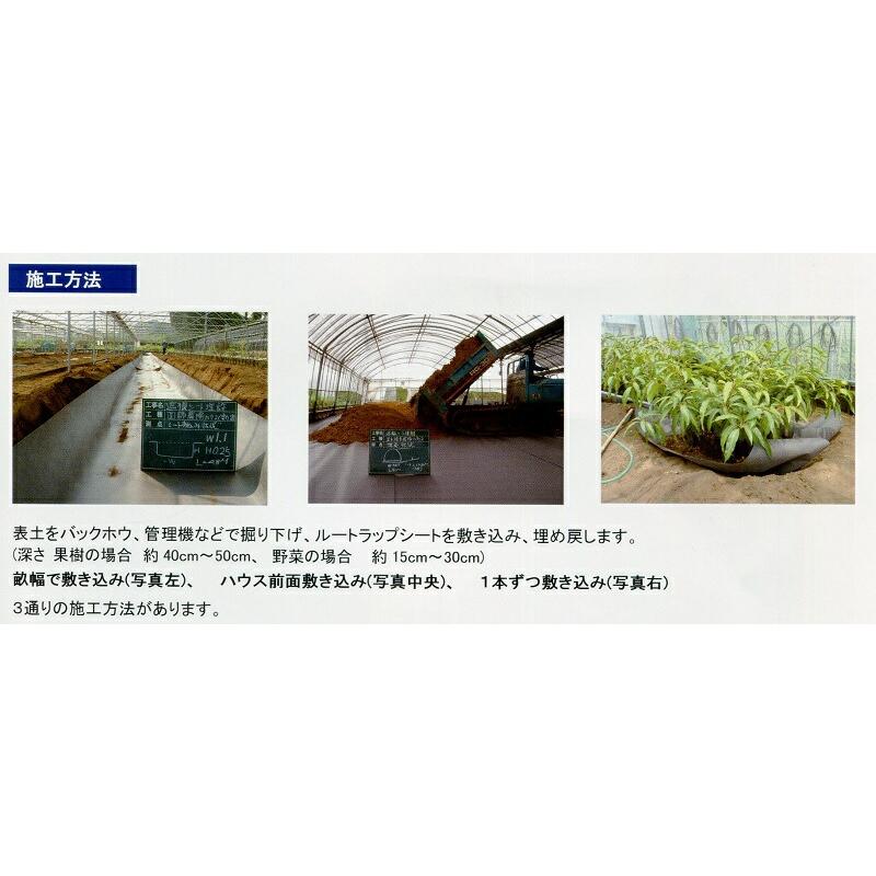 ルートラップシート 黒 20A 0.4mm厚 幅210cm×100m ぶどう等の根域制限栽培に 透水性シート 遮根シート 防根シート 不織布 ハセガワ工業 北海道不可 代引不可 |  | 02