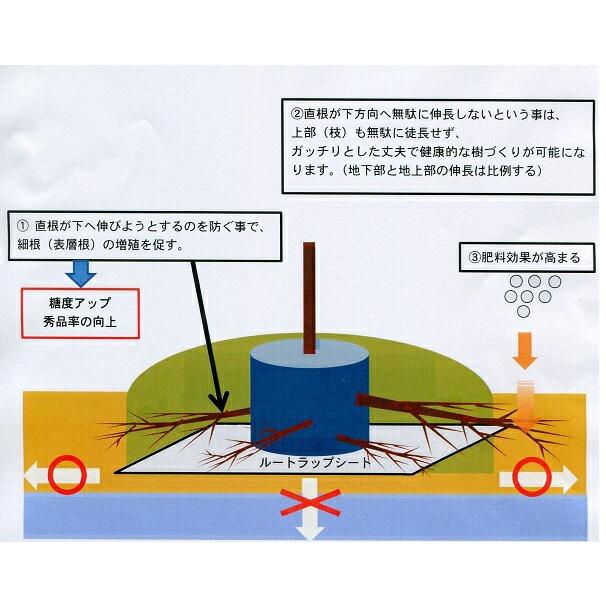 ルートラップシート 黒 30A 0.5mm厚 幅210cm×100m ぶどう等の根域制限栽培に 透水性シート 遮根シート 防根シート 不織布 ハセガワ工業 北海道不可 代引不可 |  | 03