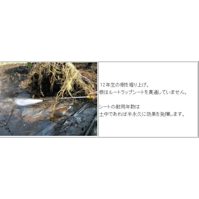 ルートラップシート 黒 30A 0.5mm厚 幅210cm×100m ぶどう等の根域制限栽培に 透水性シート 遮根シート 防根シート 不織布 ハセガワ工業 北海道不可 代引不可の画像