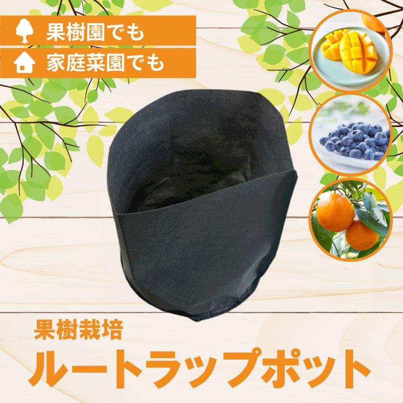 30枚 ルートラップ ポット 10A 11号 直径 33cm×高さ 35cm 容量 23L 不織布 ポット ルートラップポット 根域制限 防根 遮根 透水 ハセガワ工業 代引不可 |  | 01