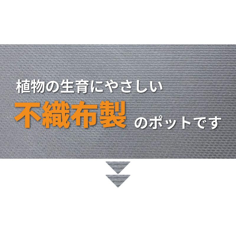 10枚 ルートラップ ポット 30A 直径 40cm × 高さ 35cm 容量 40L 不織布 ポット ルートラップポット 根域制限 防根 遮根 透水 果樹栽培 ハセガワ工業 代引不可｜plusys｜03