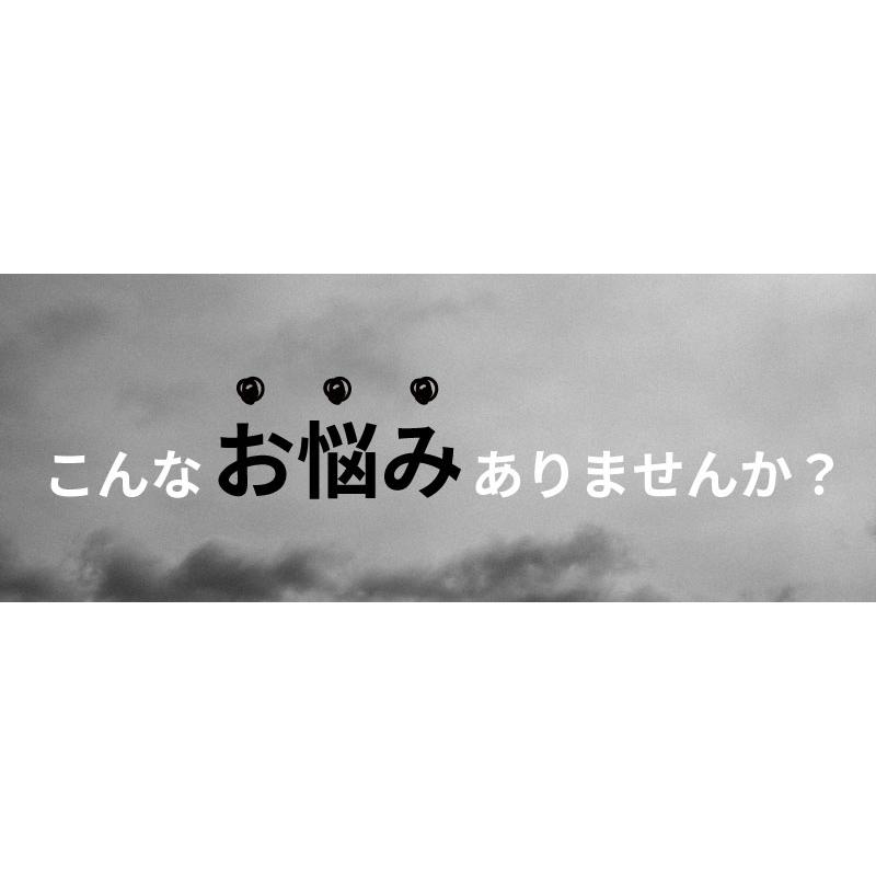 10枚 ルートラップ ポット 30A 直径 47cm×高さ 40cm 容量 65L 不織布 ポット ルートラップポット 根域制限 防根 遮根 透水 果樹栽培 ハセガワ工業 代引不可 |  | 06