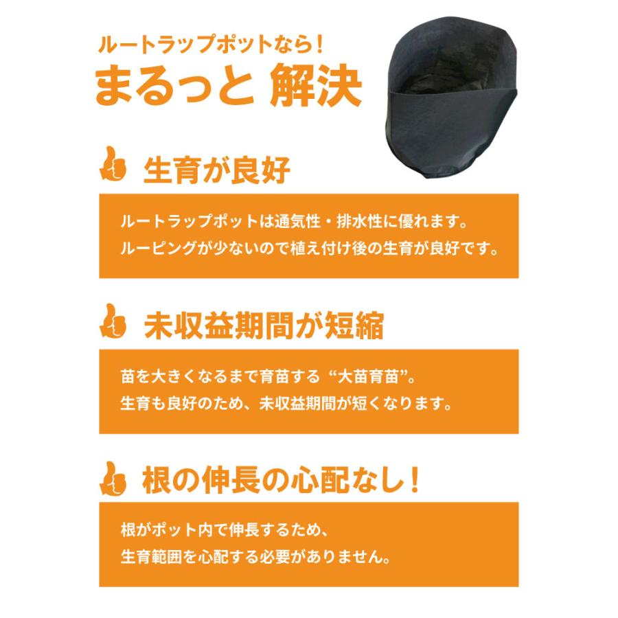 10枚 ルートラップ ポット 30A 直径 57cm × 高さ 35cm 容量 80L 不織布 ポット ルートラップポット 根域制限 防根 遮根 透水 果樹栽培 ハセガワ工業 代引不可 |  | 09