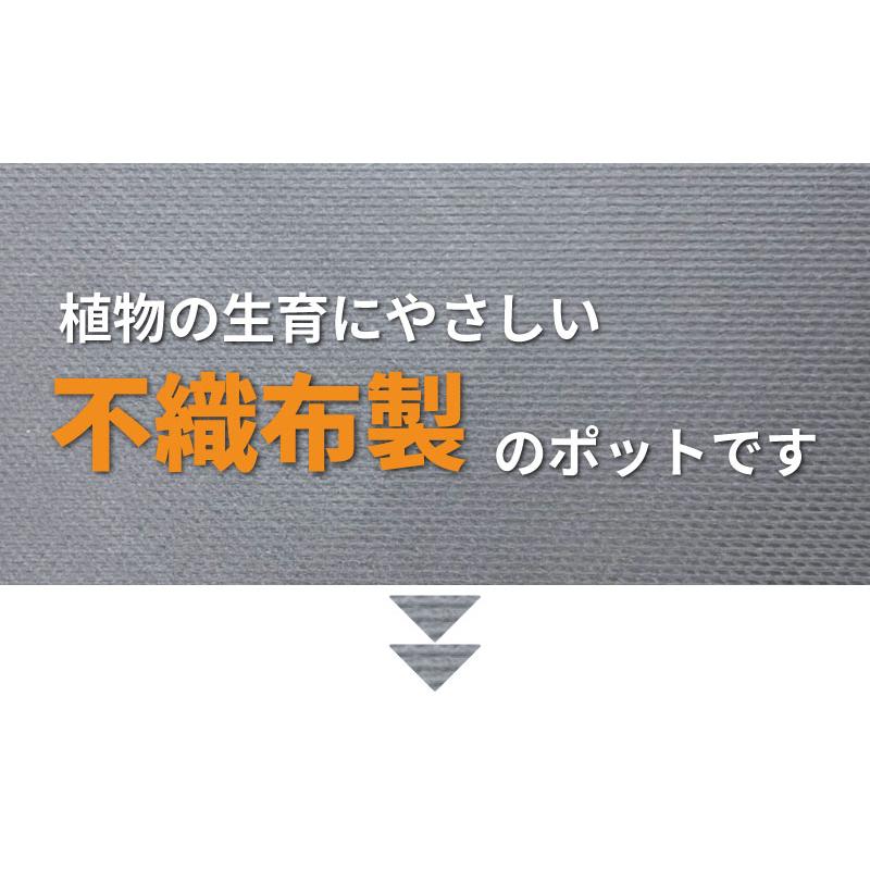10枚 ルートラップ ポット 30A 直径 57cm × 高さ 40cm 容量 100L 不織布 ポット ルートラップポット 根域制限 防根 遮根 透水 果樹栽培 ハセガワ工業 代引不可 |  | 02