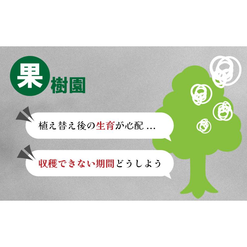 10枚 ルートラップ ポット 30A 直径 80cm×高さ 40cm 容量 200L 不織布 ポット ルートラップポット 根域制限 防根 遮根 透水 果樹栽培 ハセガワ工業 代引不可 |  | 07