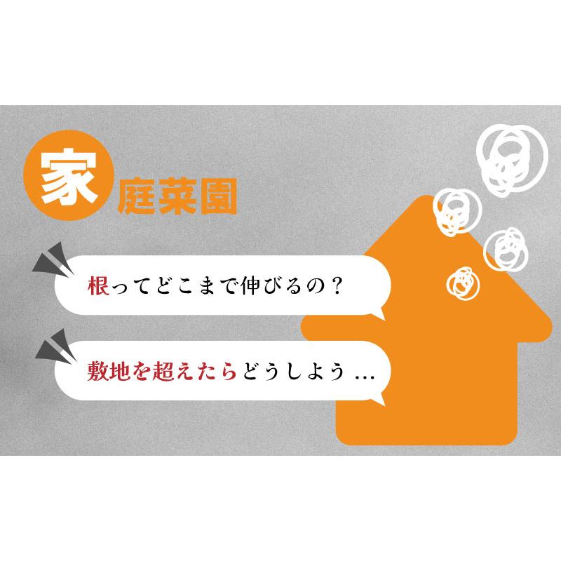 10枚 ルートラップ ポット 30A 直径 80cm × 高さ 40cm 容量 200L 不織布 ポット ルートラップポット 根域制限 防根 遮根 透水 果樹栽培 ハセガワ工業 代引不可｜plusys｜09