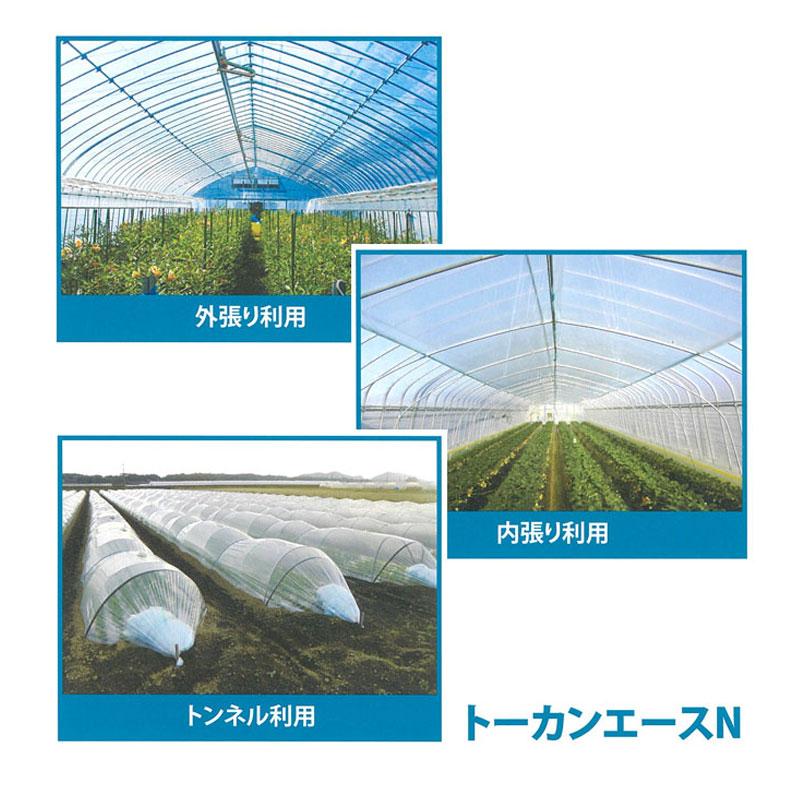 2本 0.05mm厚 210cm幅 100m トーカンエースN 農PO 透明 シングル巻 東罐興産 カ施 個人宅配送不可 代引不可 | 