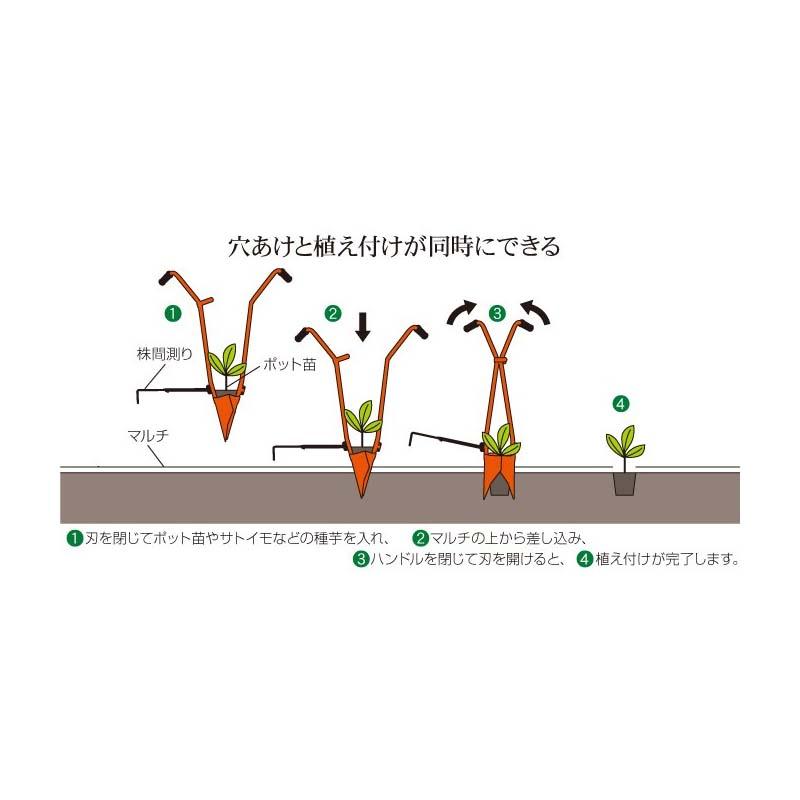 サンエー ホーラー H70P H-70P (開閉式) 移植機兼植え穴あけ器 Z｜plusys｜02