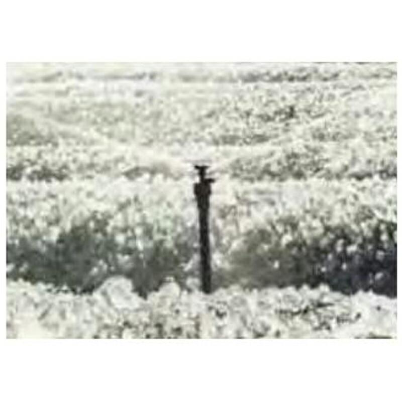 リトルボス LB900 オリーブ 散水量4.0L 散水直径15m 潅水用品のサンホープ カ施 個人宅配送不可 代引不可 |  | 01