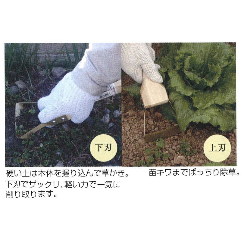 中耕くわ もん太 全長260mm 刃巾100mm DK-803 ドウカン 道灌 三冨D | 道灌 | 01