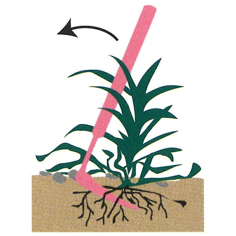 磯次郎 コンコン鎌 ピンク 全長370mm 刃長110mm DK-695 ドウカン 道灌 三冨D |  | 01