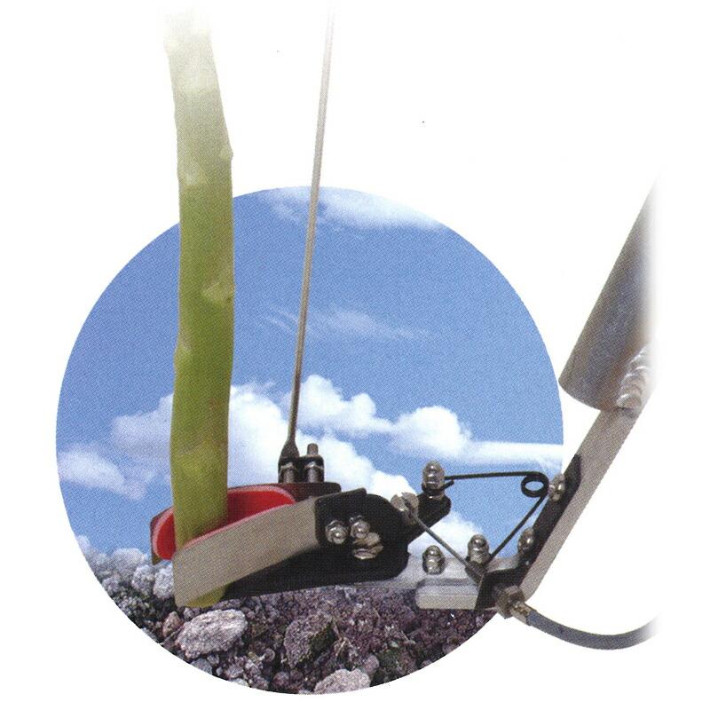 アスパラキャッチ 全長730mm DK-2000 ドウカン 道灌 三冨D | 道灌 | 03