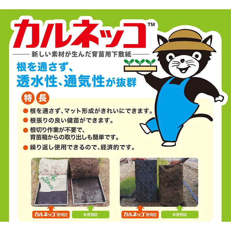 500枚 カルネッコS 500P 水稲 28×58cm 育苗箱 用 根切り シート 敷紙