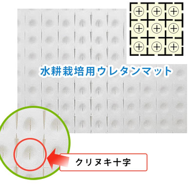 水耕栽培用 ウレタンスポンジ培地 100枚入 クリヌキ十字タイプ 28×285×585mm 23.5mm角 300ピース 育苗マット D地 代引不可 個人宅配送不可