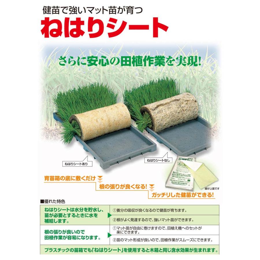 根の張りが良くなる 800枚 ねはりシート 使い捨てタイプ 健苗シート 育苗箱専用 敷紙 育苗箱 苗箱 紙 シート 育苗 水稲 稲苗 稲作 啓文社 オK 代引不可 |  | 01