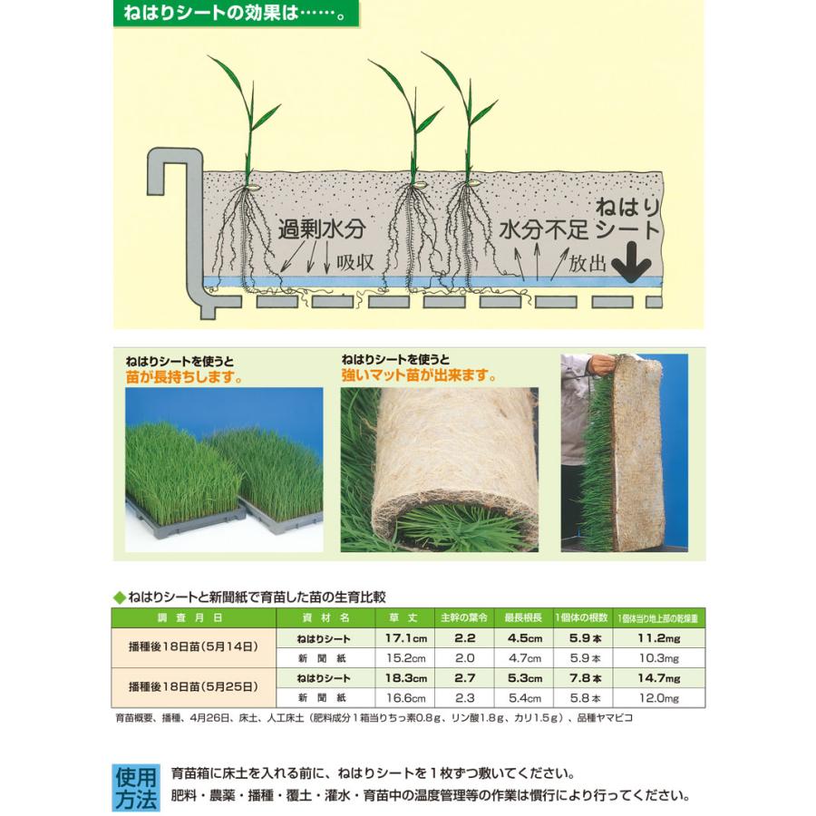 根の張りが良くなる 800枚 ねはりシート 使い捨てタイプ 健苗シート 育苗箱専用 敷紙 育苗箱 苗箱 紙 シート 育苗 水稲 稲苗 稲作 啓文社 オK 代引不可 |  | 02