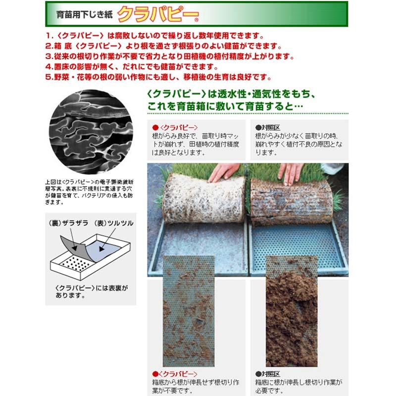 500枚 クラパピー 水稲用 下敷シート ニッテン 中GH |  | 01
