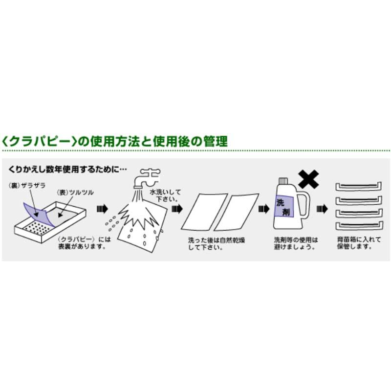 500枚 クラパピー 水稲用 下敷シート ニッテン 中GH |  | 02