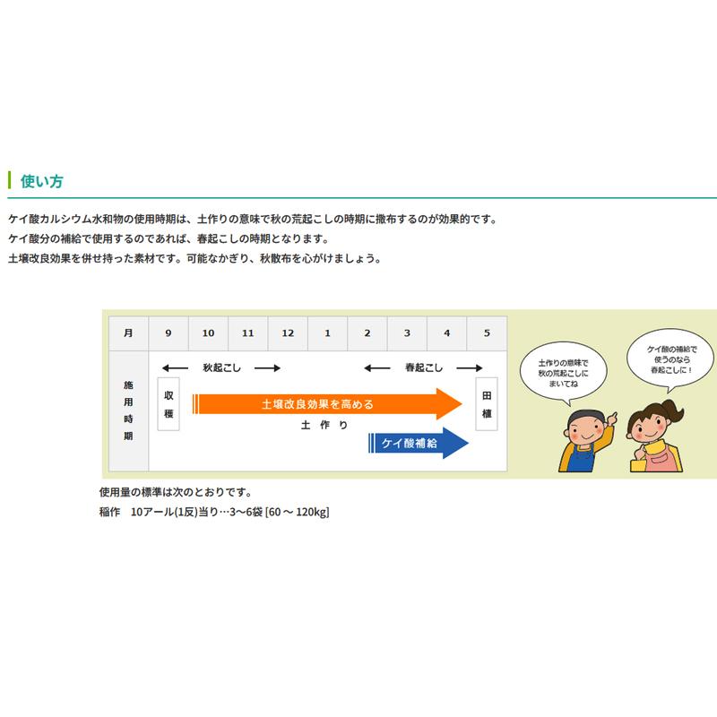 チョイスワン 20kg (イネニカ) 耐倒状性 水稲 タマネギ 野菜 土壌改良 肥料 覆土 ケイカル 新ク DZ |  | 03
