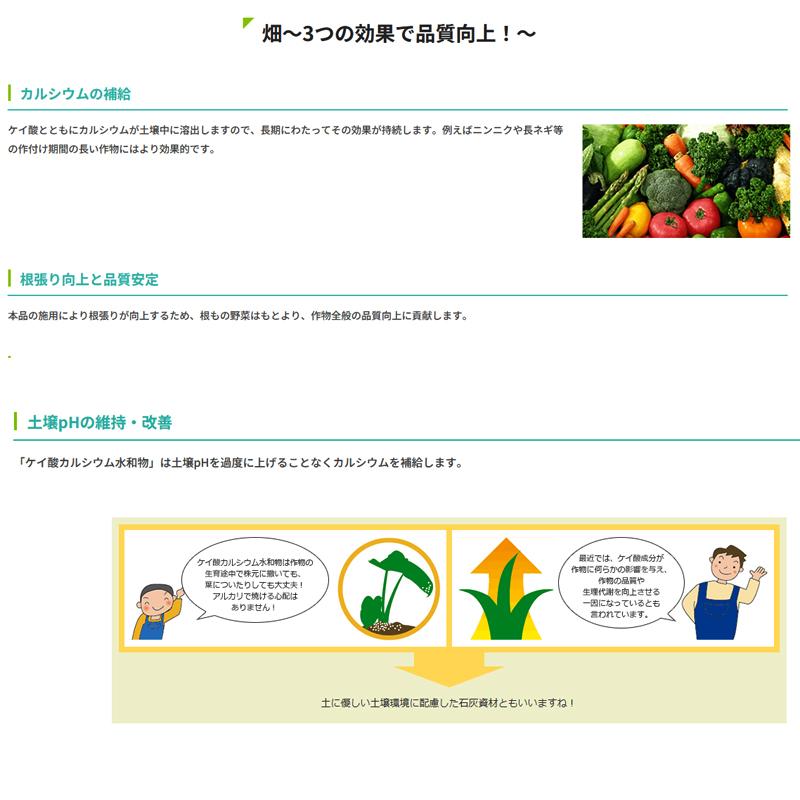 チョイスワン 20kg (イネニカ) 耐倒状性 水稲 タマネギ 野菜 土壌改良 肥料 覆土 ケイカル 新ク DZ |  | 04
